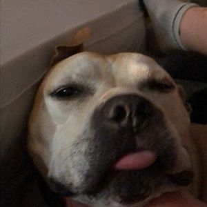 Meet your Posher, Aliyah